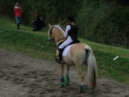 img_5852_web